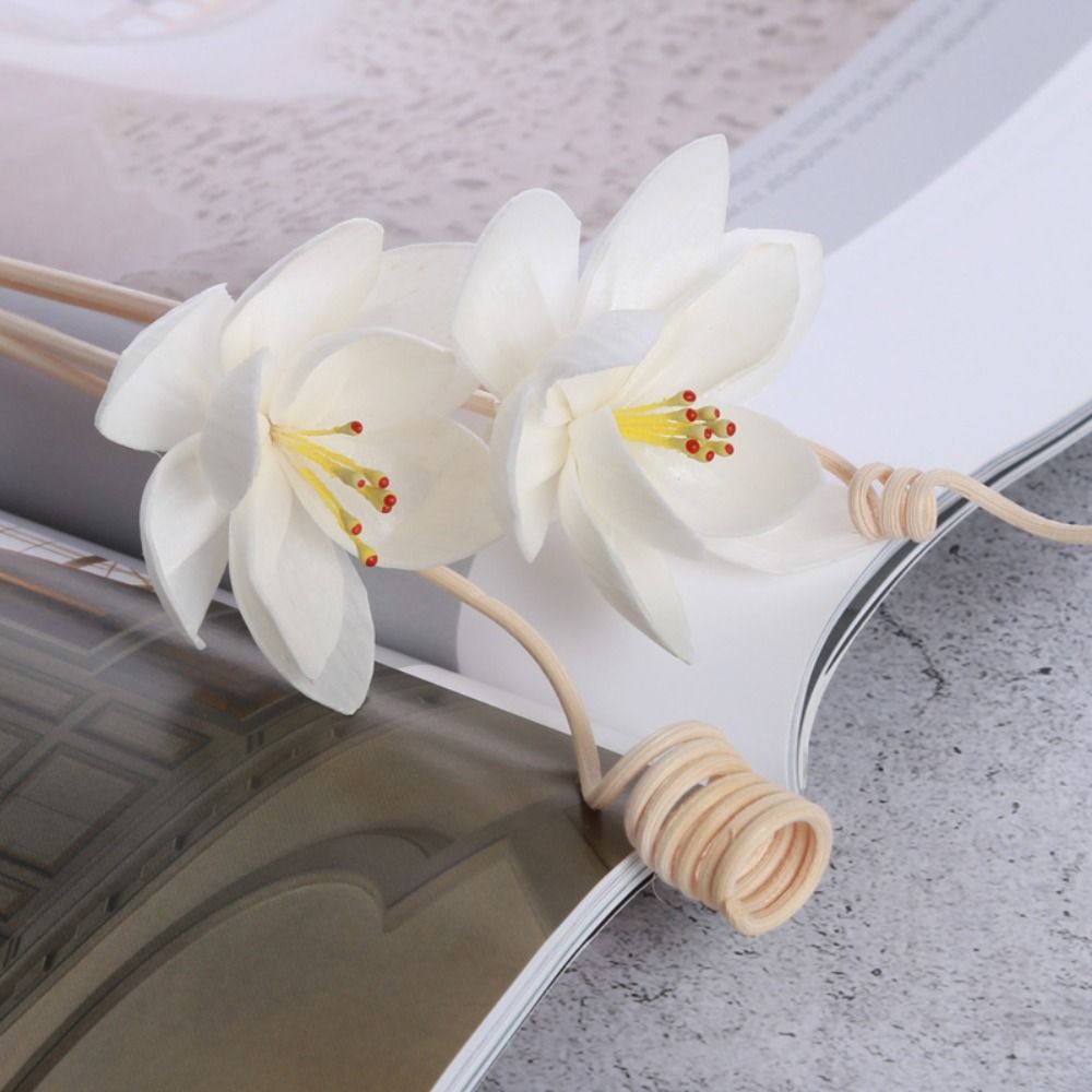 Home Fragrance Diffuser Sticks - ดอกไม้หอมอโรมาอเนกประสงค์ 5 ซม. ทำด้วยมือจากธรรมชาติ สำหรับห้องนั่งเล่น ใช้ในบ้าน