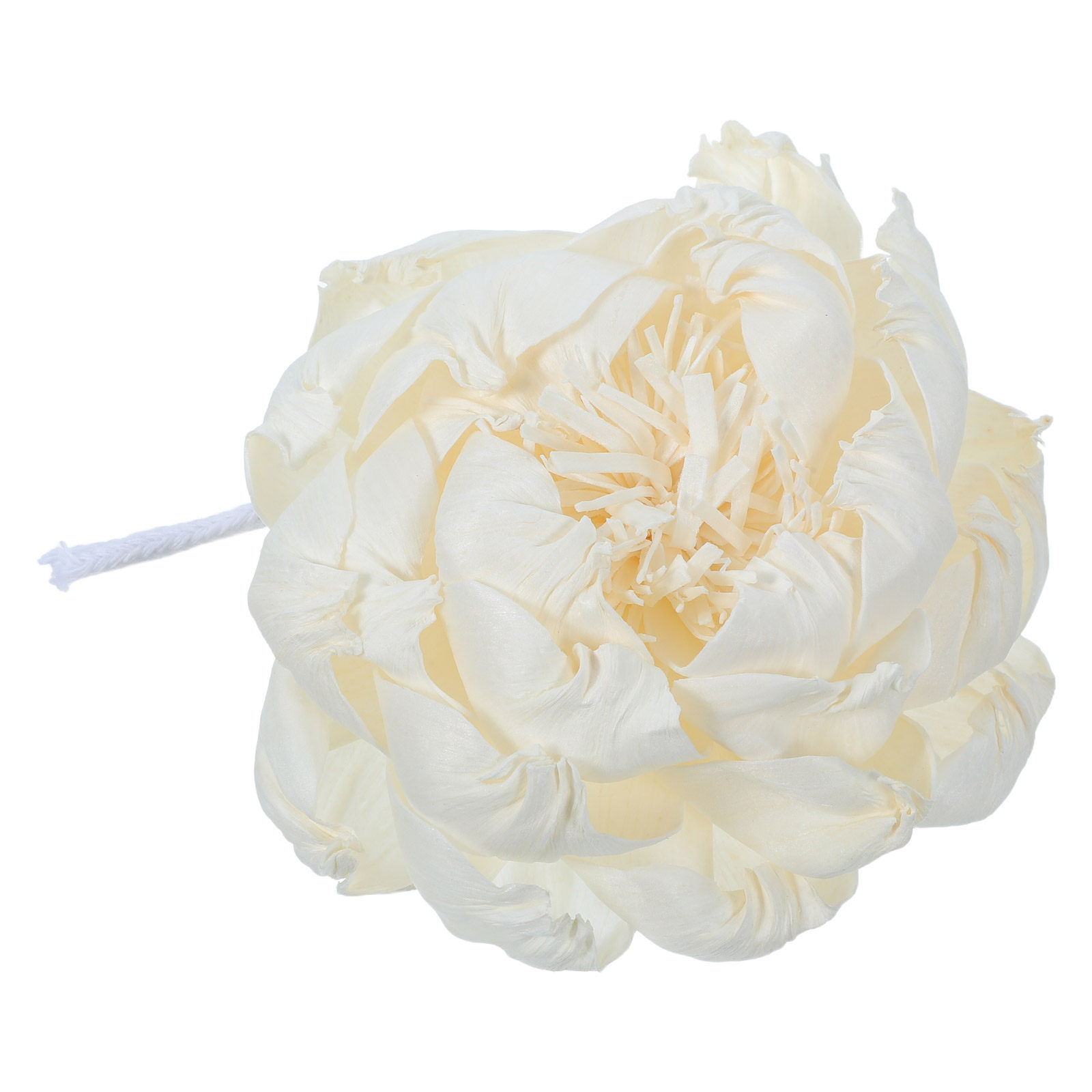 เครื่องกระจายกลิ่นหอมดอกโบตั๋น - Home Fragrance Aroma บทวิจารณ์และราคา