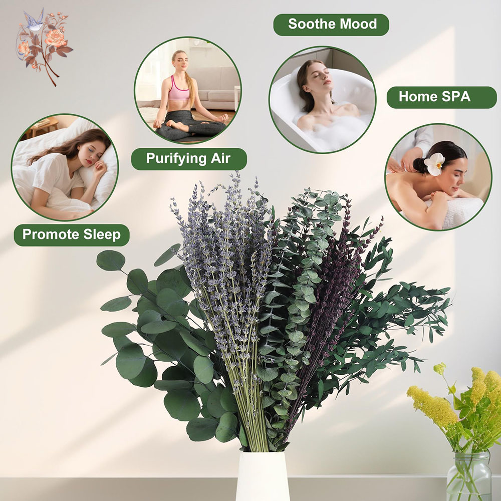 ใบยูคาลิปตัสแห้งผสมลาเวนเดอร์  - Fragrance Your Home บทวิจารณ์และราคา
