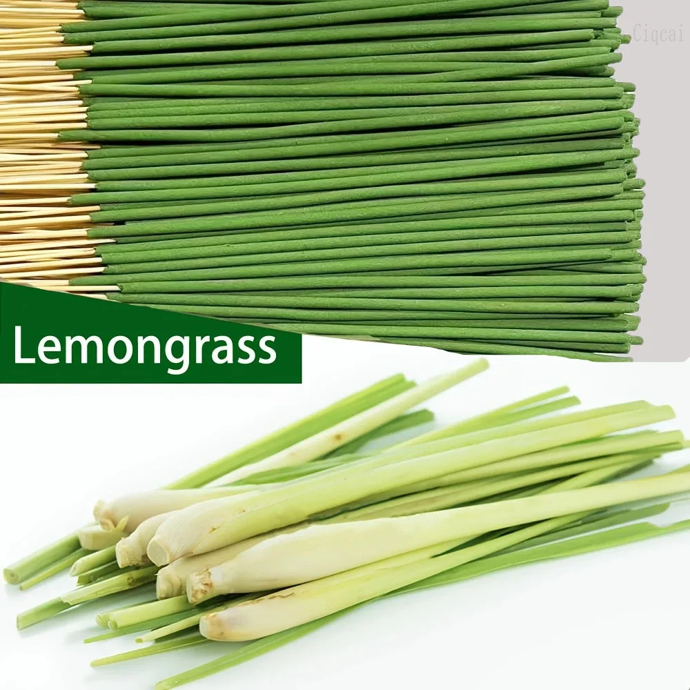 ก้านไม้หอมปรับอากาศ กลิ่นตะไคร - Home Fragrance Elements บทวิจารณ์และราคา