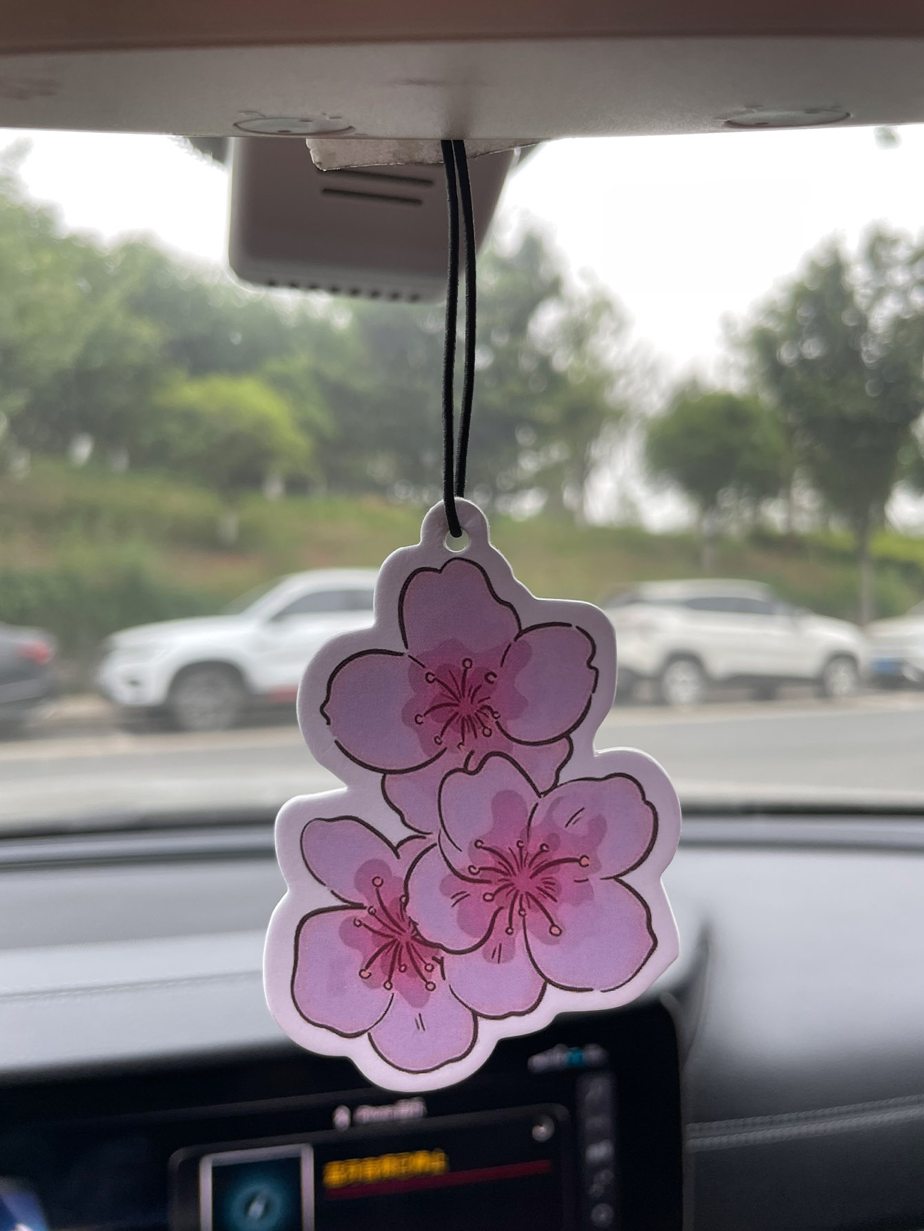 น้ำหอมปรับอากาศในรถยนต์กลิ่นซา - Home Fragrance Use บทวิจารณ์และราคา